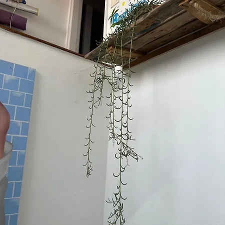 Vandrarhem Agueita House *