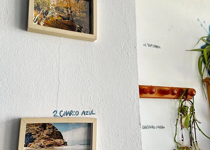 Agueita House بيت شباب